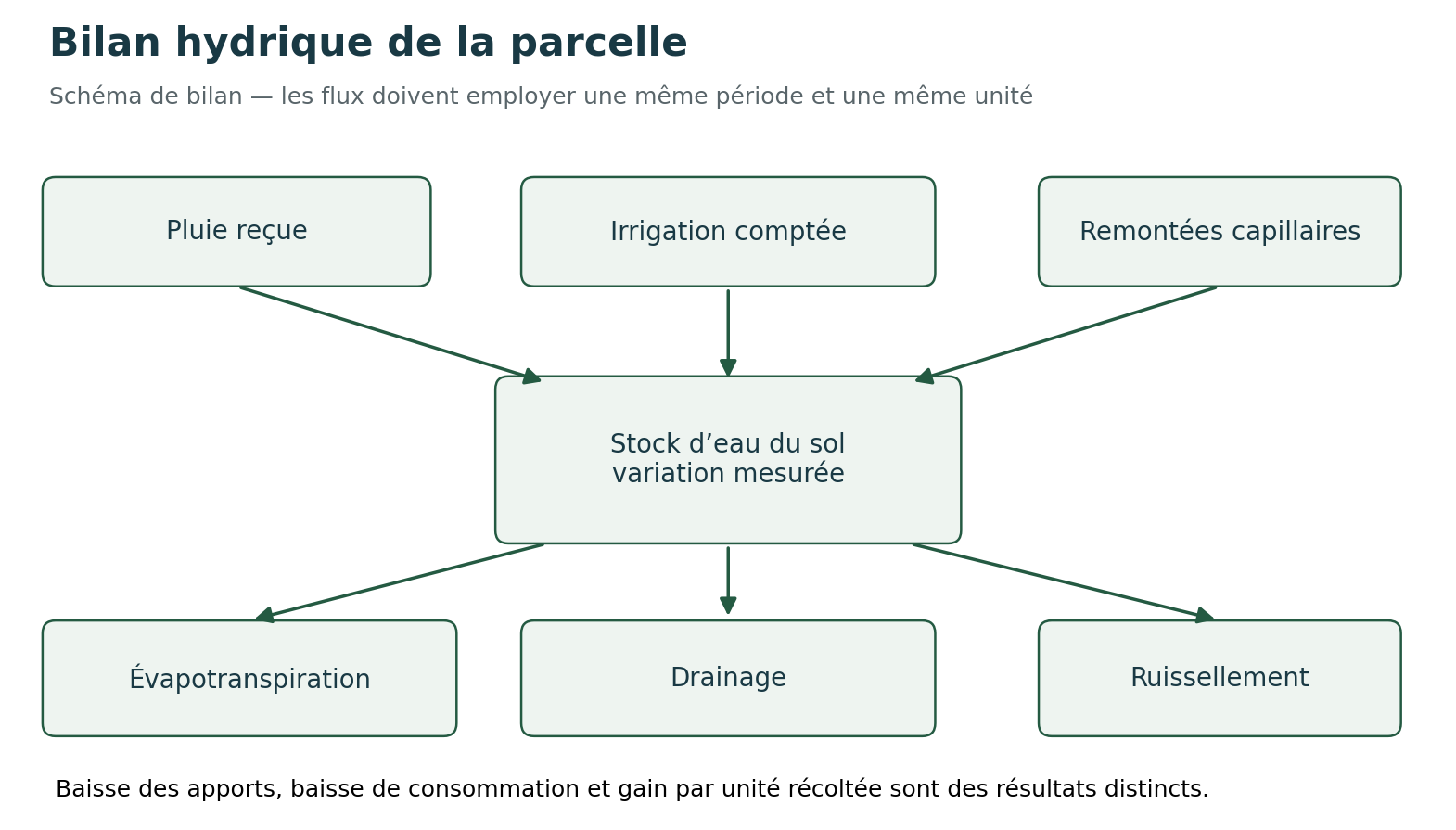 Bilan hydrique et microclimat
