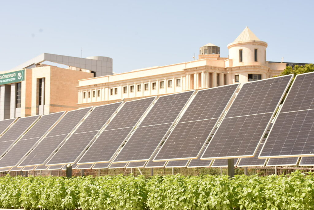 Agrivoltaïsme : à qui appartiendra le soleil ?